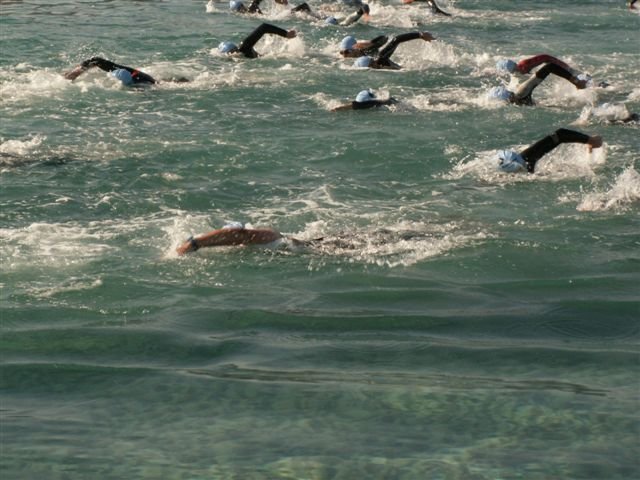 photo39.jpg