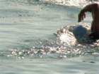 photo40_small.jpg