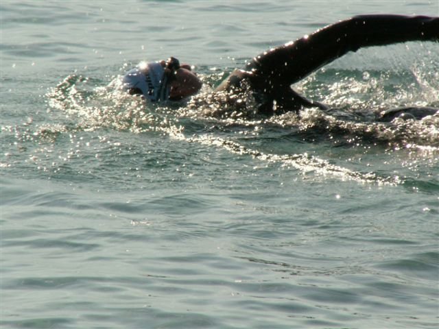 photo51.jpg