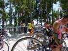 codolet002_small.jpg