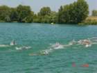 codolet008_small.jpg