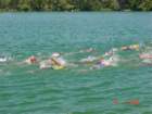 codolet010_small.jpg