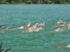 codolet011_small.jpg