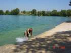 codolet015_small.jpg
