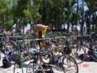 codolet023_small.jpg