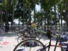 codolet027_small.jpg
