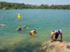 codolet028_small.jpg