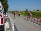 codolet045_small.jpg