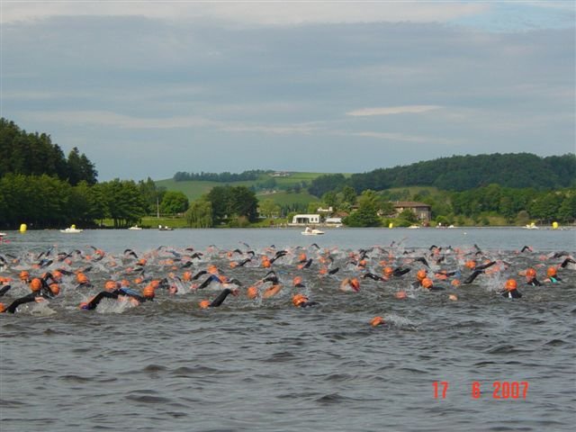 trisapin07014.jpg