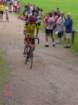 trisapin07026_small.jpg