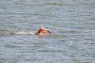 dsc_0050_small.jpg
