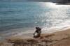 dsc_0003_small.jpg