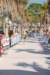 dsc_0265_small.jpg