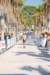 dsc_0282_small.jpg