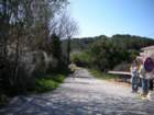 dscn0295_small.jpg