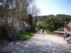 dscn0299_small.jpg