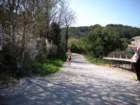 dscn0304_small.jpg